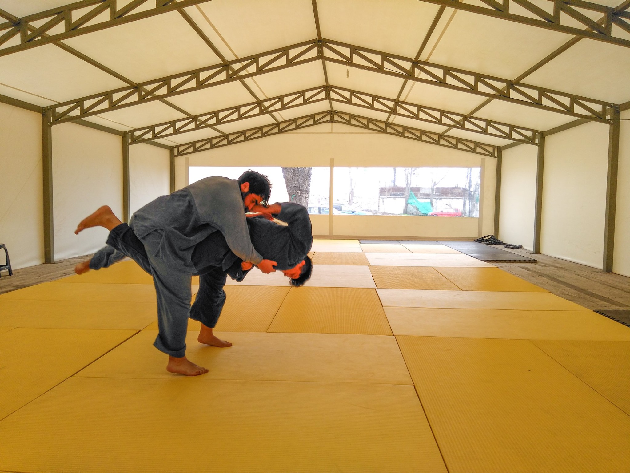 Tatami Profesional