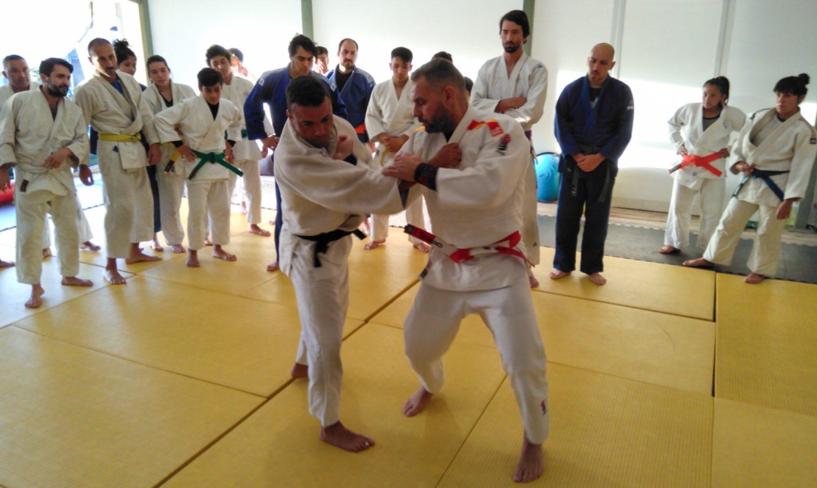 Adultos practicando artes marciales