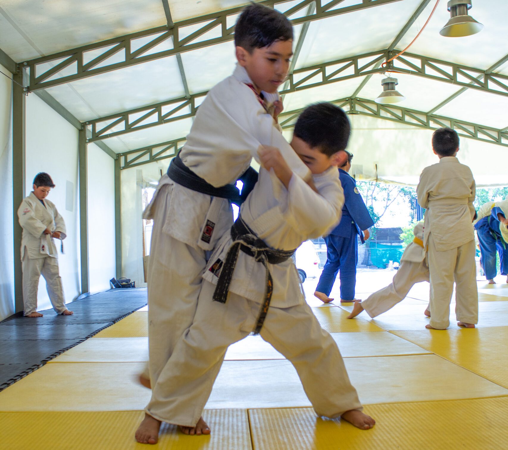 Niños practicando Judo